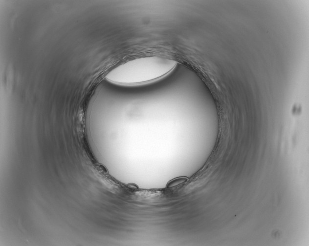 X0000094360480200711021340