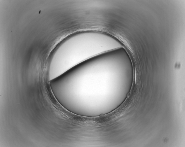 X0000094360483200711021340