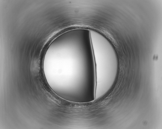 X0000094360484200711021340