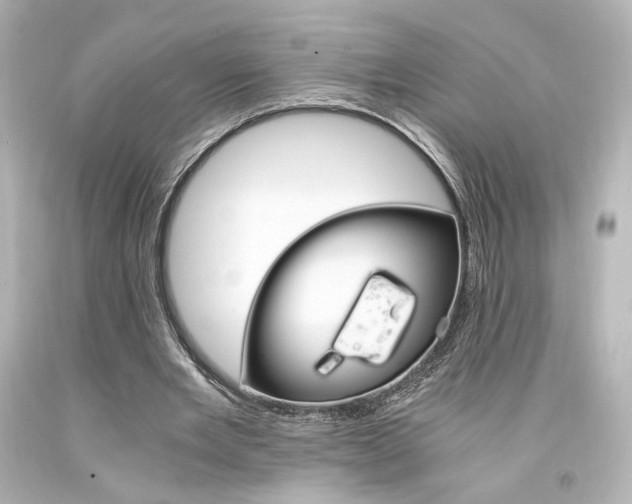 X0000094360485200711021340
