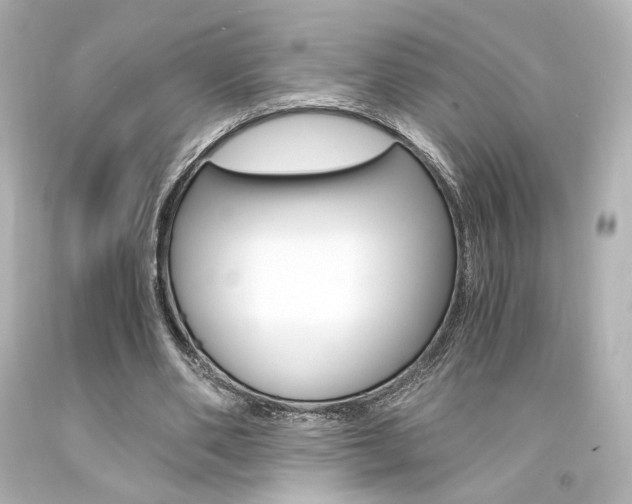 X0000094360486200711021340