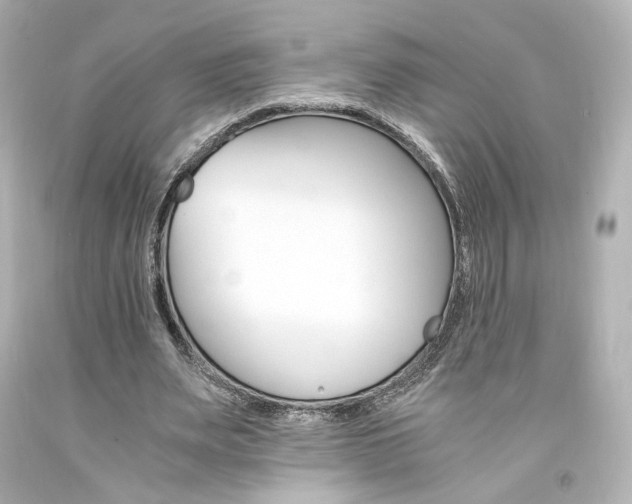 X0000094360487200711021339