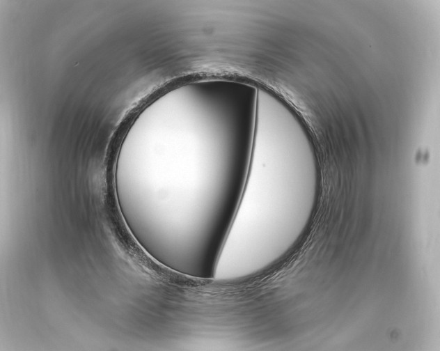 X0000094360488200711021339