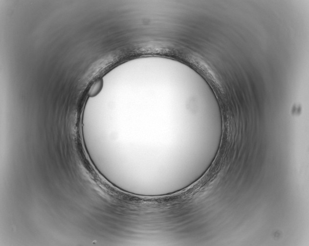 X0000094360490200711021339