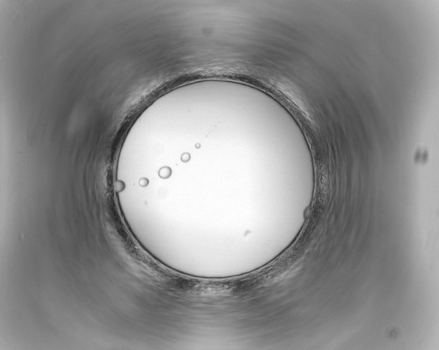 X0000094360491200711021339