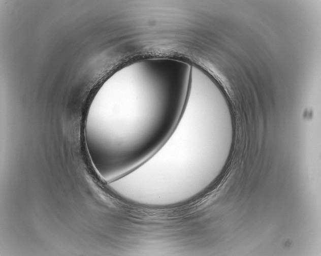 X0000094360493200711021339
