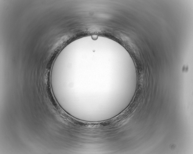 X0000094360495200711021339