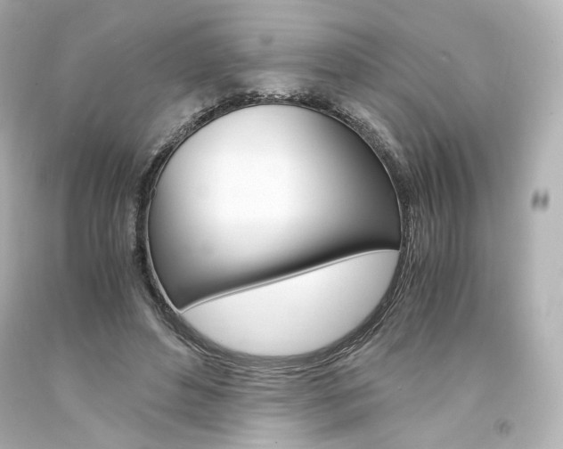 X0000094360496200711021339