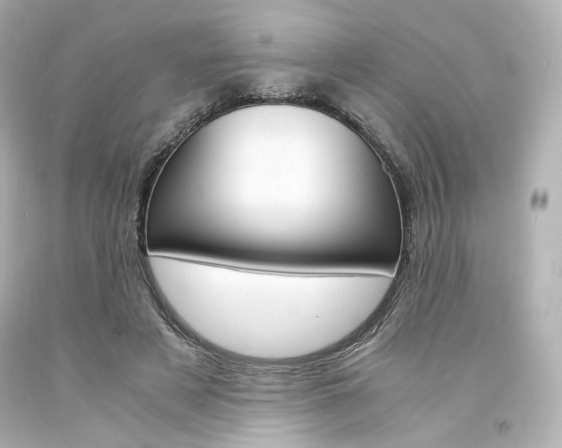 X0000094360497200711021339