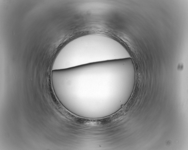 X0000094360499200711021339
