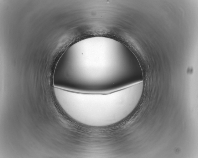 X0000094360501200711021339