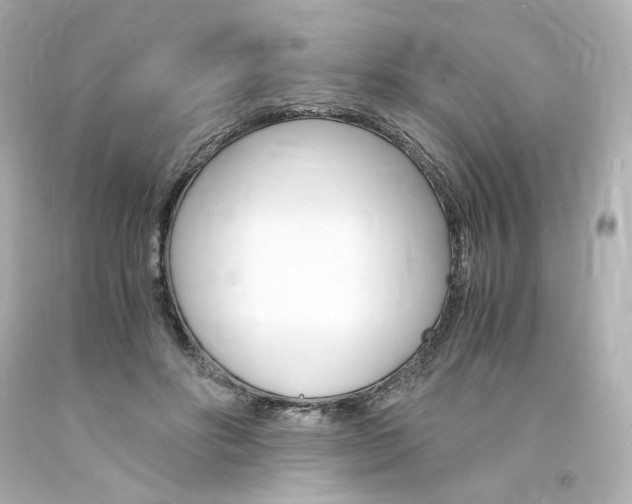 X0000094360502200711021339