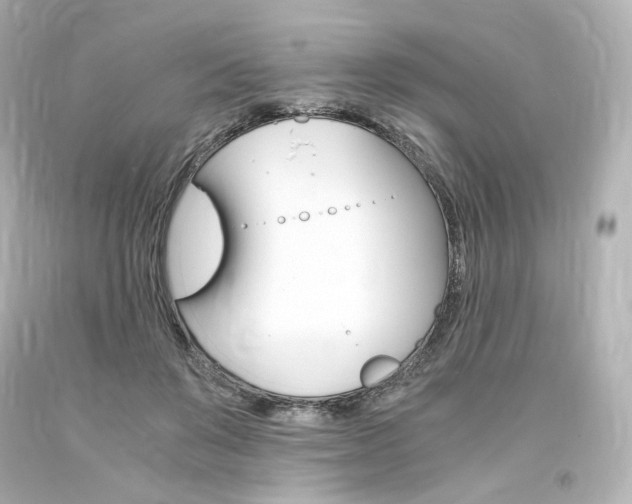 X0000094360503200711021339