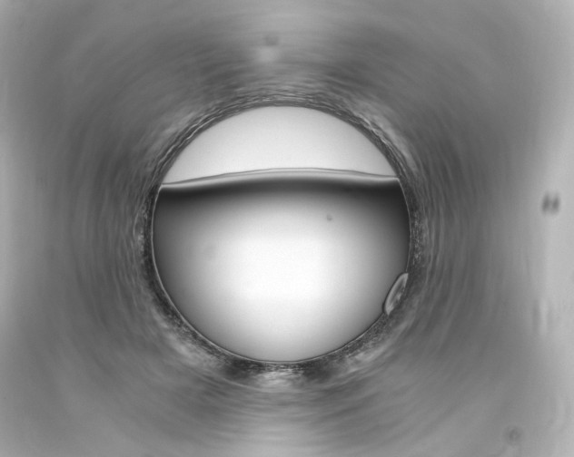 X0000094360505200711021339