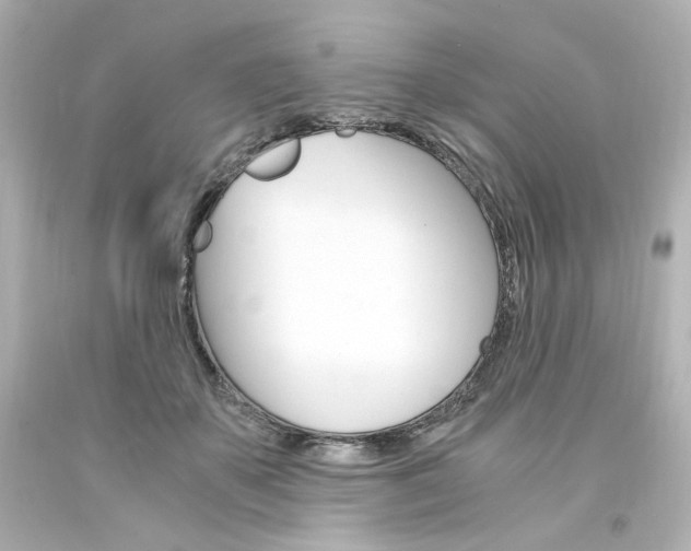 X0000094360507200711021339