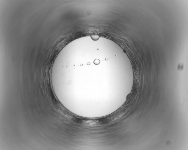 X0000094360511200711021339