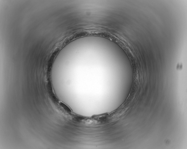 X0000094360512200711021339