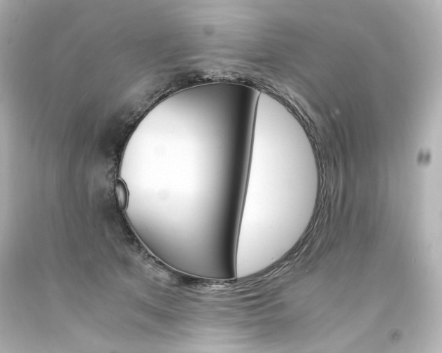 X0000094360513200711021339