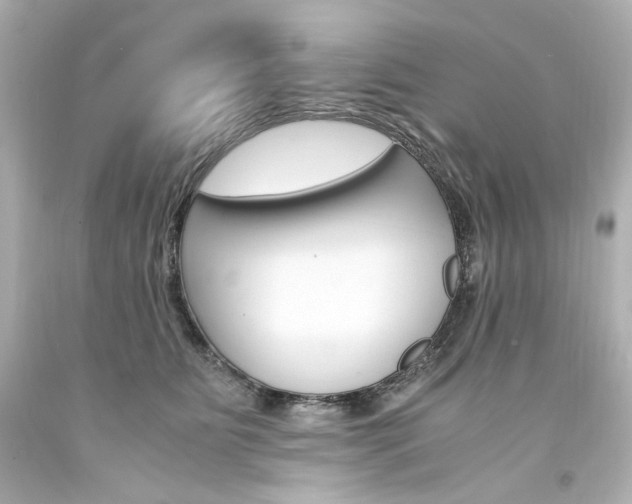 X0000094360515200711021339