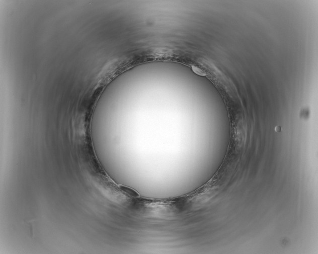 X0000094360516200711021339