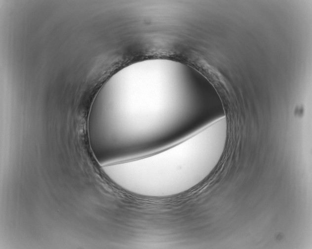 X0000094360517200711021339
