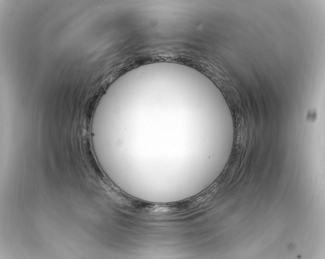 X0000094360518200711021339