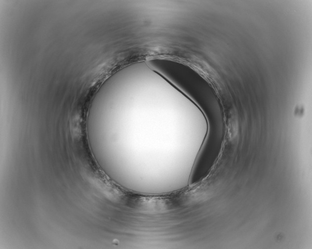X0000094360520200711021339