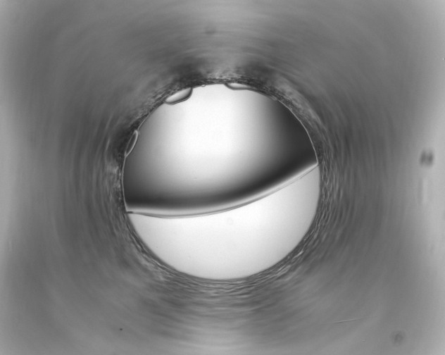 X0000094360521200711021339