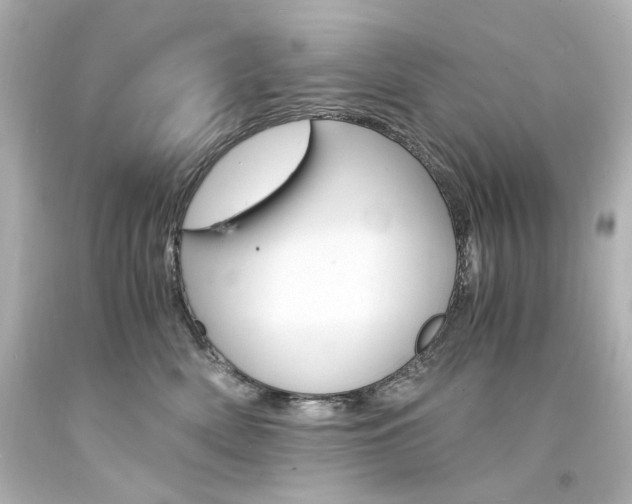 X0000094360522200711021339