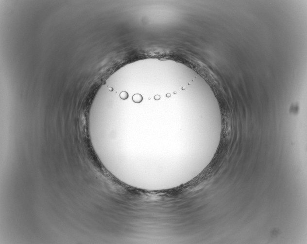 X0000094360523200711021339