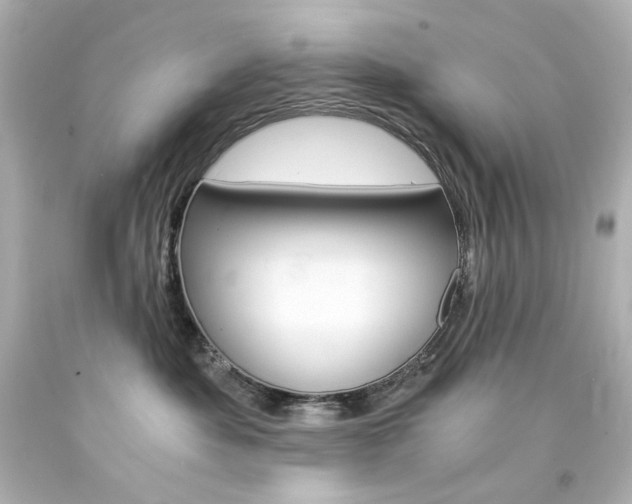 X0000094360525200711021339