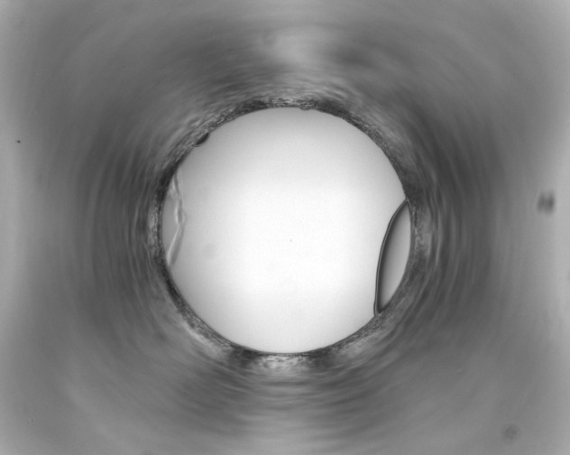 X0000094360526200711021339
