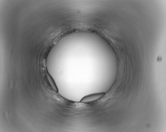 X0000094360528200711021339