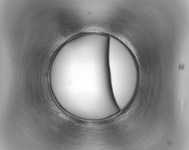 X0000094360529200711021338