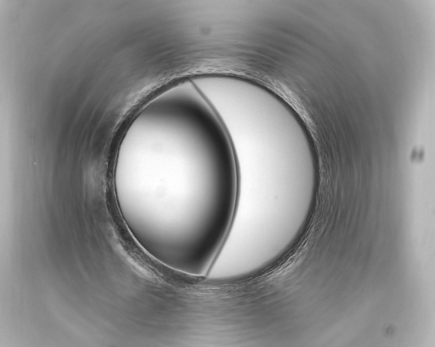 X0000094360530200711021338