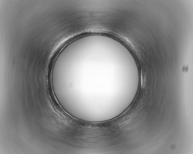 X0000094360531200711021338