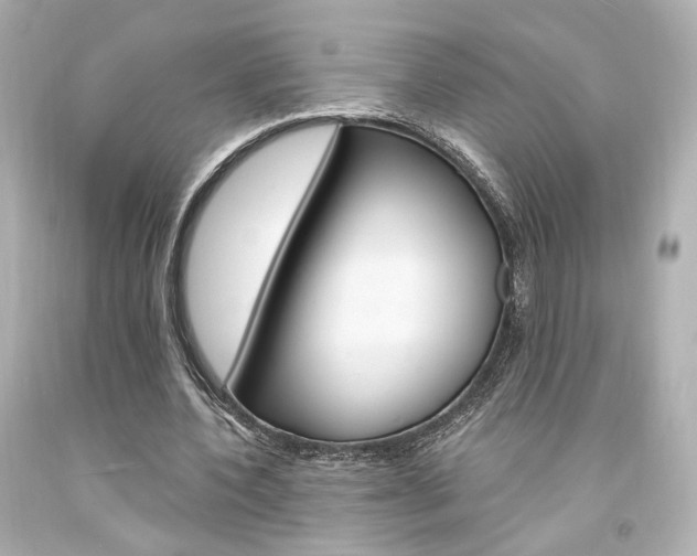 X0000094360532200711021338