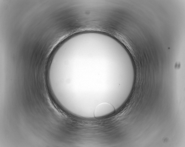 X0000094360534200711021338