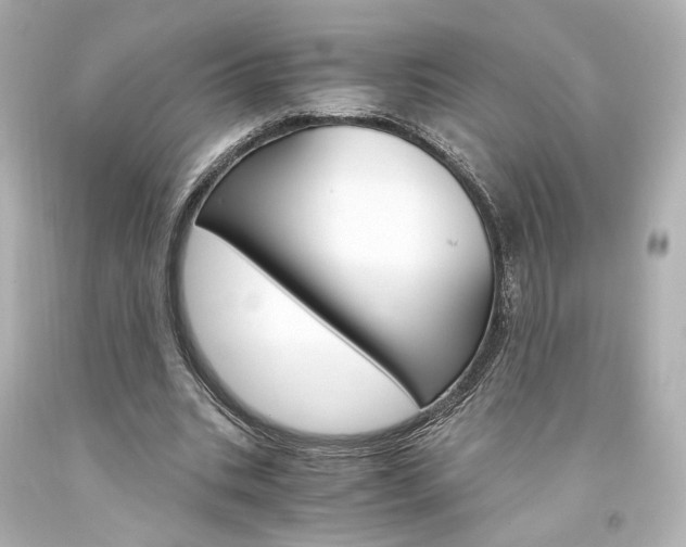 X0000094360535200711021338