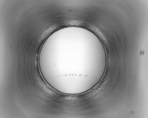 X0000094360537200711021338