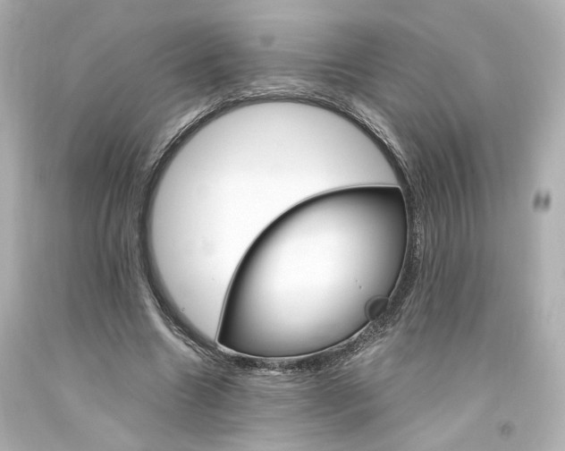 X0000094360538200711021338