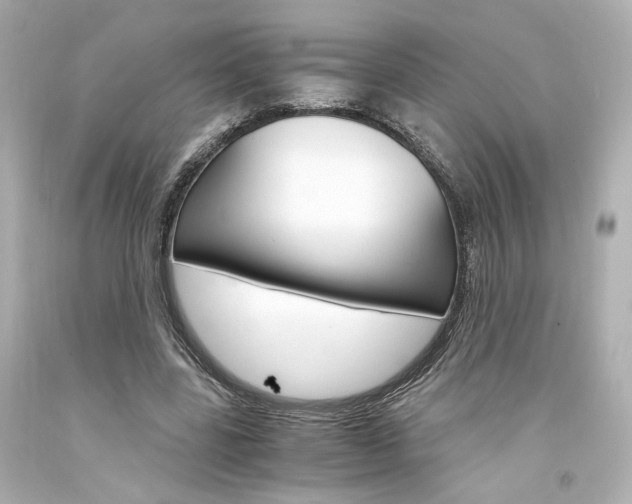 X0000094360539200711021338