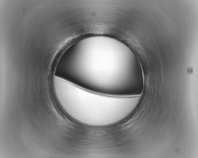 X0000094360540200711021338