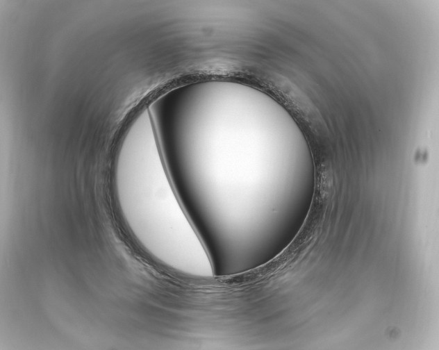 X0000094360544200711021338