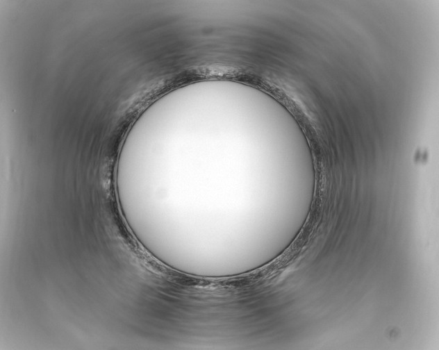 X0000094360545200711021338