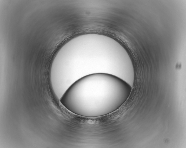X0000094360546200711021338
