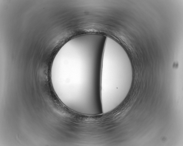 X0000094360547200711021339
