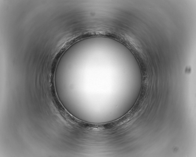 X0000094360548200711021339
