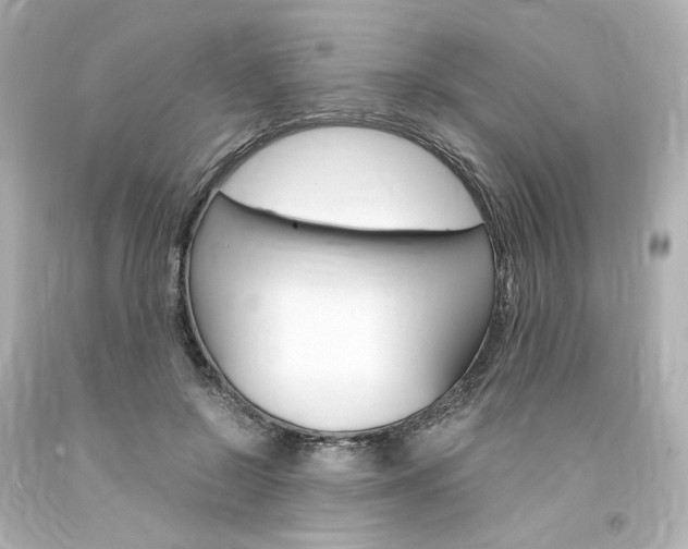 X0000094360550200711021339