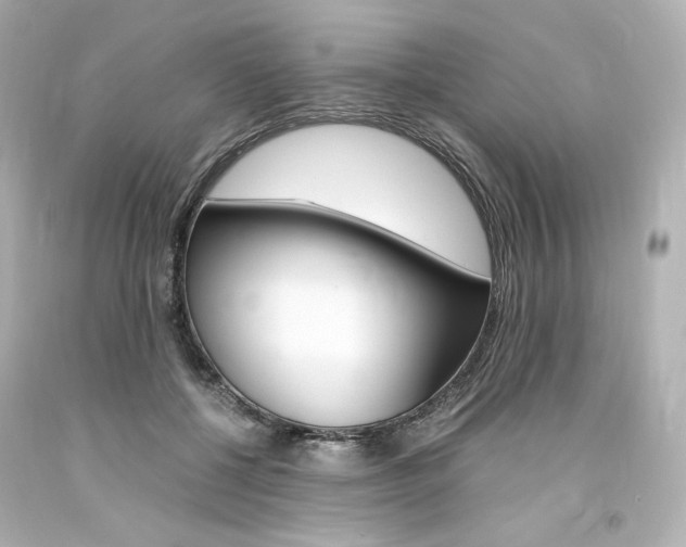 X0000094360552200711021339